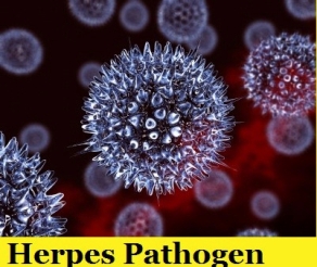 Herpes Pathogen