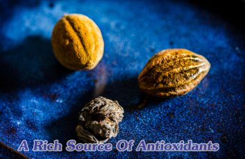 Triphala contains Antioxidants 1